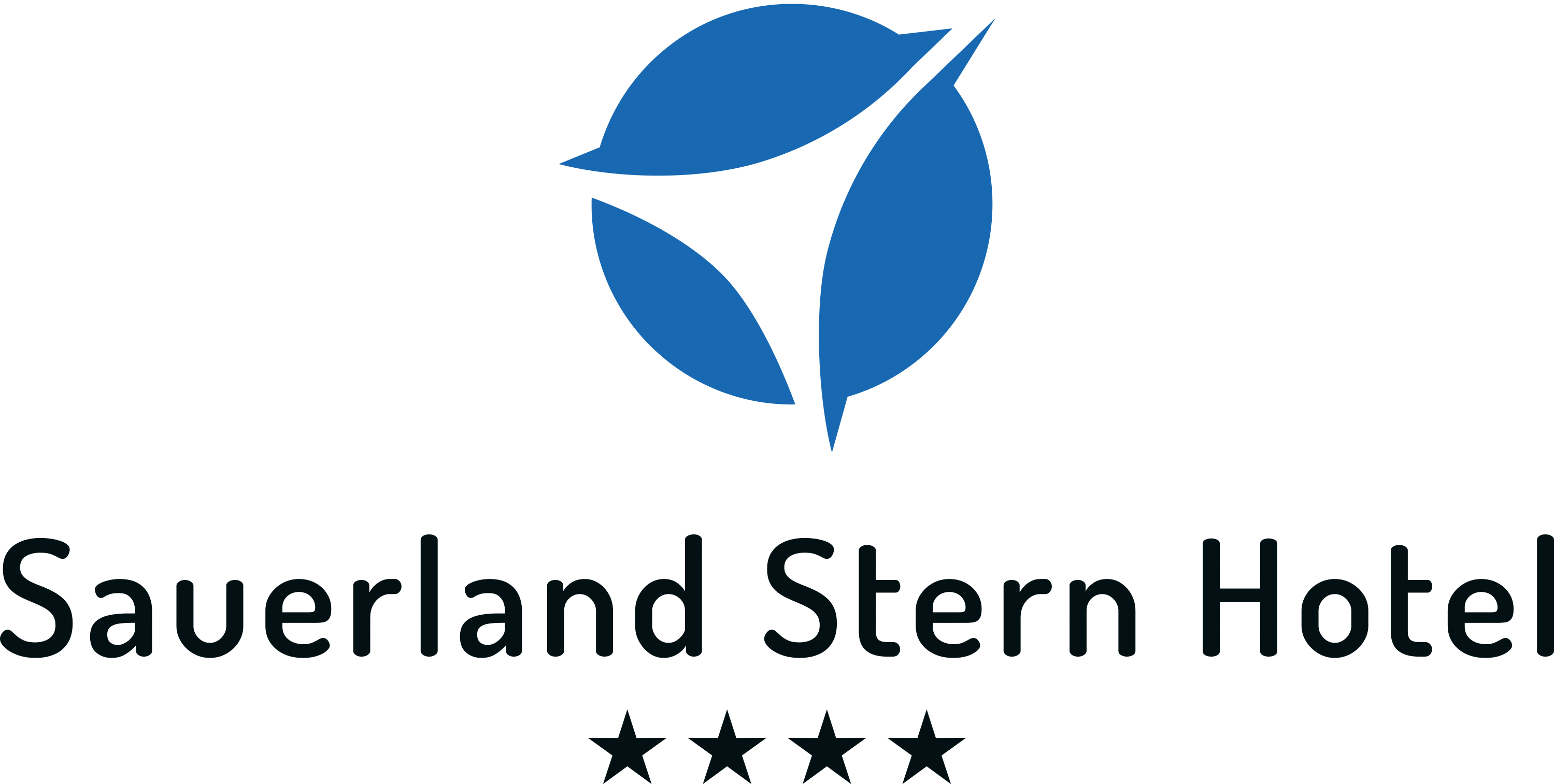 sauerland stern logo